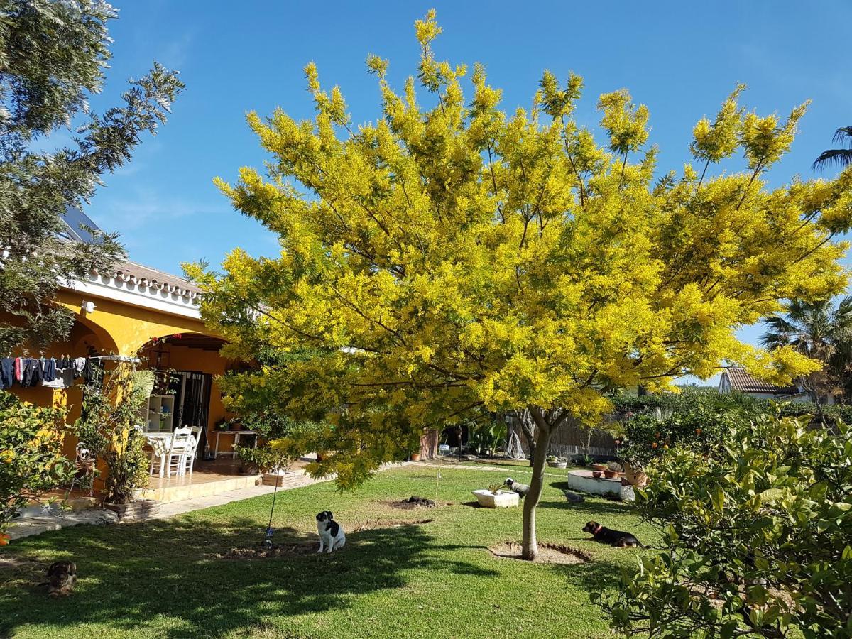 Finca La Gallina Blanca Alhaurín el Grande Exterior foto